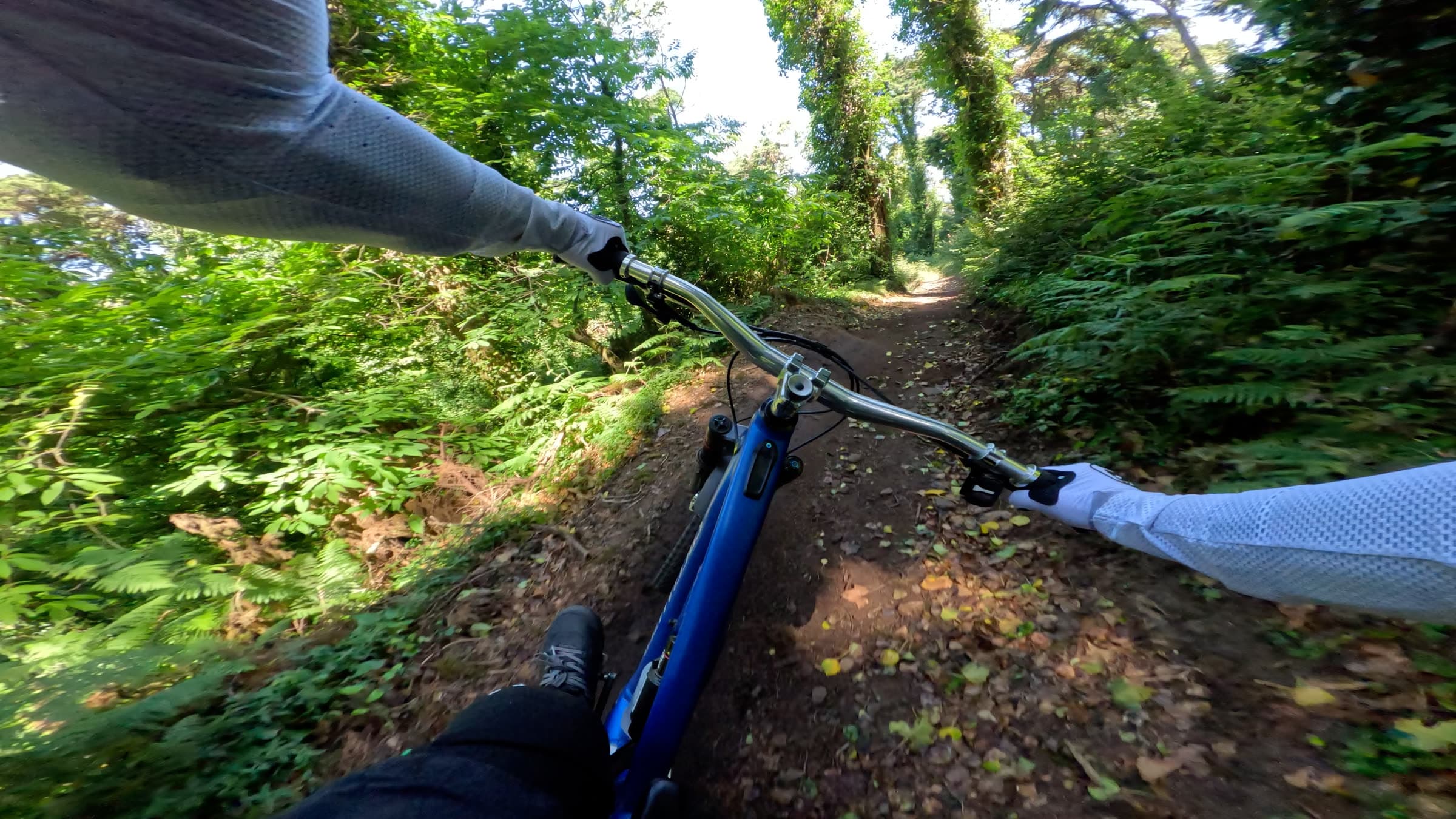 Singletrack v kapradí po dešti